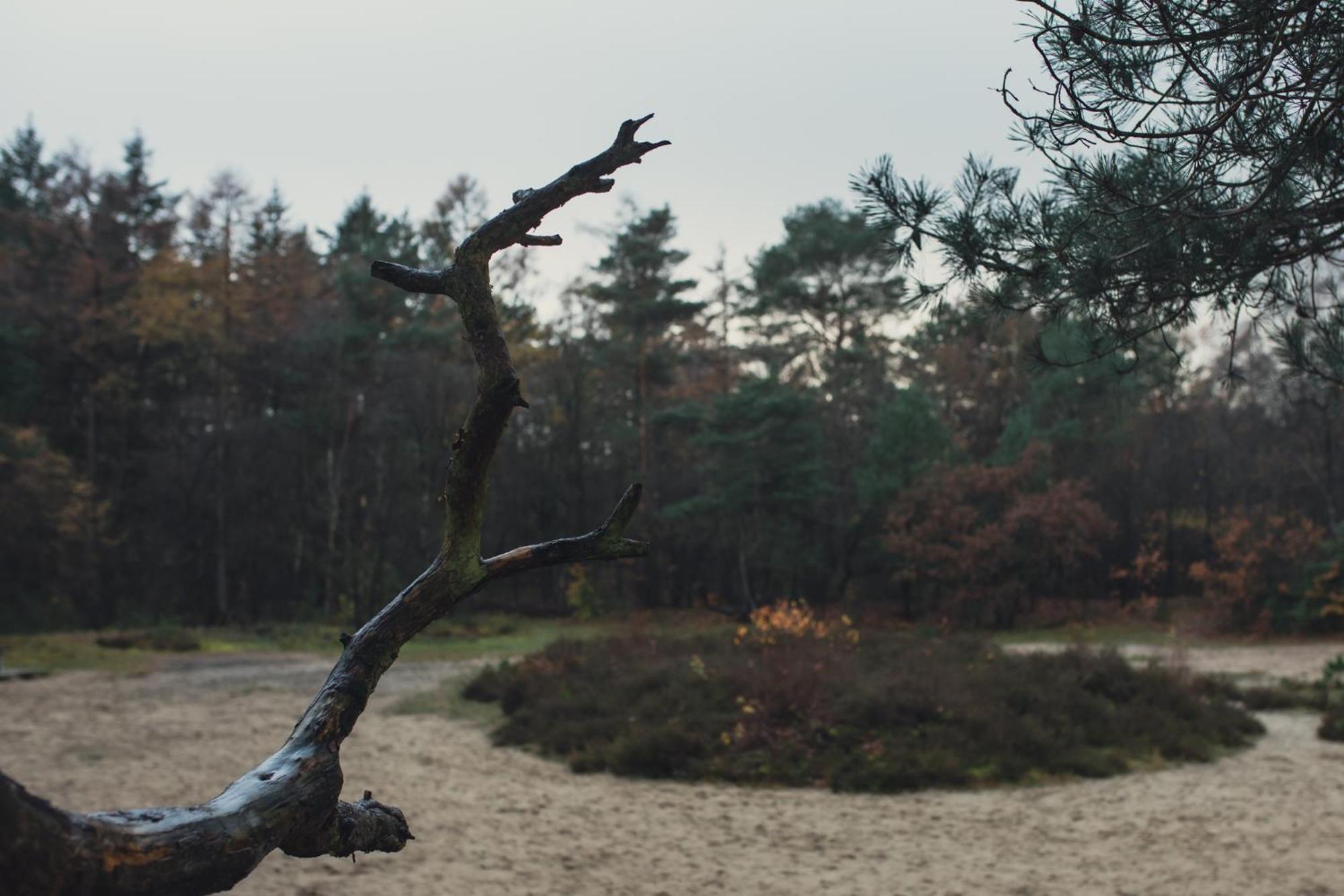 Drents Genieten - Kraaiheide Met Prive Jacuzzi Erm Dış mekan fotoğraf